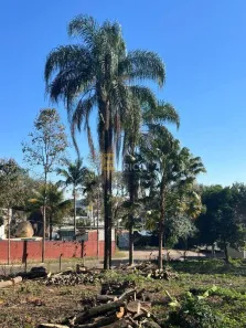 Lote/Terreno à venda, 878m² no Parque Dos Cafezais IV, Itupeva