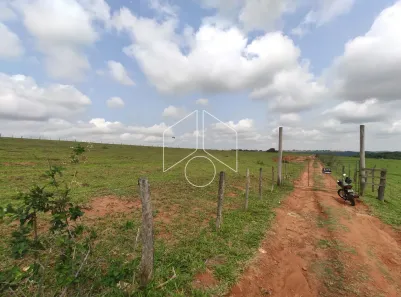 Lote/Terreno para alugar, 29040m² no Centro, Marília