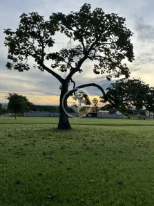 Lote/Terreno à venda, 2100m² no , Bela Vista de Goiás