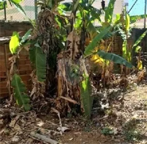 Lote/Terreno à venda, 450m² no Vila Mazzei, São Paulo