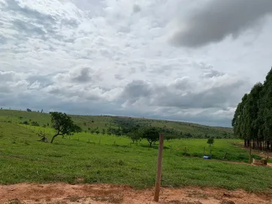 Fazenda/Sítio à venda, 300000m² no , Dores do Indaiá