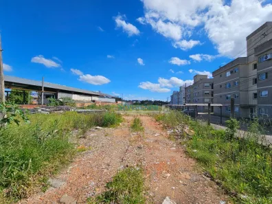 Lote/Terreno à venda, 8600m² no Nova Cachoeirinha, Cachoeirinha