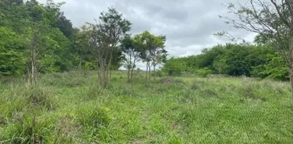 Lote/Terreno à venda, 27984m² no Parque Aeroporto, Campos dos Goytacazes