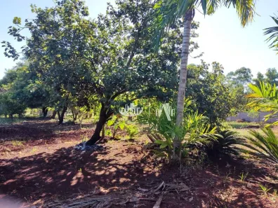 Fazenda/Sítio com 1 Quarto à venda, 100m² no Parque das Indústrias, Londrina
