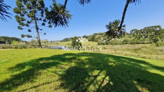 Lote/Terreno à venda, 21250m² no Borda do Campo, São José dos Pinhais
