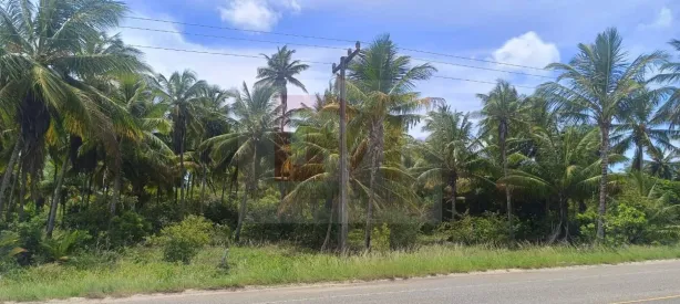 Lote/Terreno à venda, 54000m² no Costa Paradiso, Barra dos Coqueiros