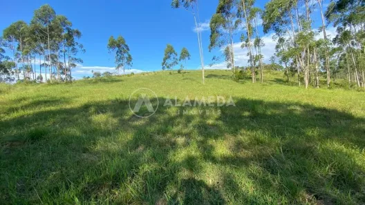 Lote/Terreno à venda, 85000m² no Gasparinho, Gaspar