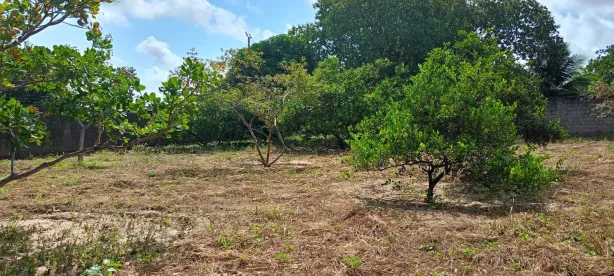 Lote/Terreno para alugar, 8742m² no Messejana, Fortaleza