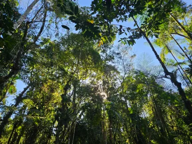Lote/Terreno à venda, 804m² no Serrinha do Alambari (Agulhas Negras), Resende
