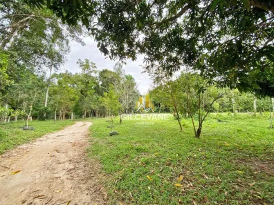 Lote/Terreno à venda, 187800m² no Cerro Azul, Cerro Azul