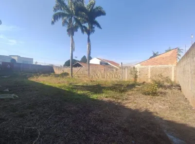 Lote/Terreno para alugar, 525m² no Dom Pedro, Londrina