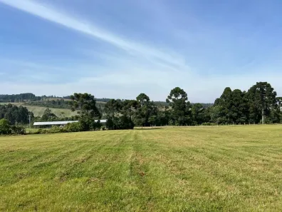 Lote/Terreno à venda, 21257m² no , Balsa Nova