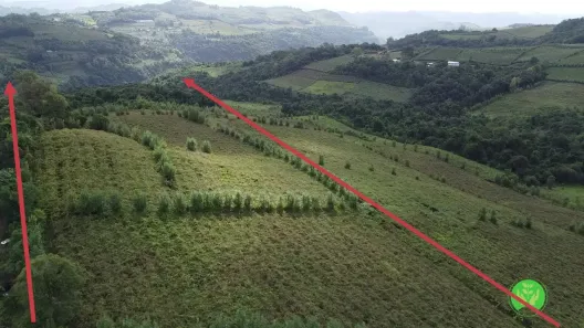 Fazenda/Sítio à venda, 21000m² no , Monte Belo do Sul