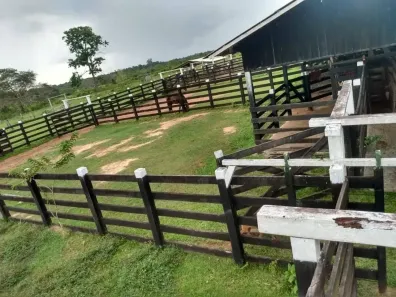 Fazenda/Sítio com 3 Quartos à venda, 7000000m² no , São Luiz