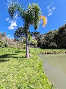 Fazenda/Sítio com 2 Quartos à venda, 10000m² no , Bocaiúva do Sul