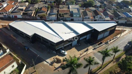 Galpão/Depósito/Armazém para alugar, 1400m² no Luizote de Freitas, Uberlândia