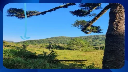 Fazenda/Sítio com 1 Quarto à venda, 127500m² no Centro, São Francisco de Paula