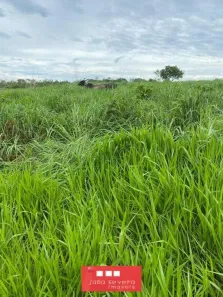 Fazenda/Sítio à venda, 1064800m² no Plano Diretor Sul, Palmas