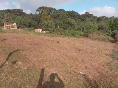 Lote/Terreno à venda, 642m² no Centro, São Francisco de Paula