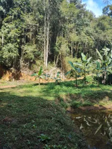 Lote/Terreno à venda, 20000m² no , Domingos Martins