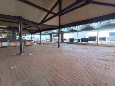 Imóvel Comercial para alugar, 464m² no Jardim Califórnia, Ribeirão Preto