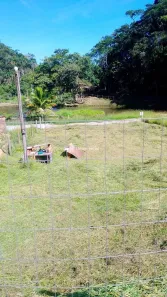 Lote/Terreno à venda, 300m² no Arrozal, Piraí