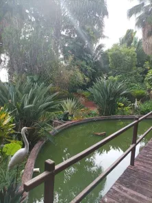 Fazenda/Sítio com 6 Quartos à venda, 9730m² no Setor Coimbra, Goiânia
