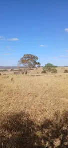 Fazenda/Sítio com 1 Quarto para venda ou aluguel, 2323200m² no Área Rural de Luziânia, Luziânia