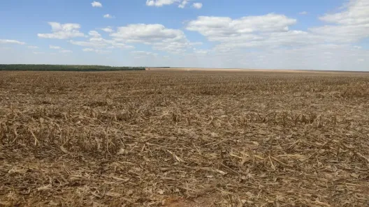 Fazenda/Sítio à venda, 5000m² no Centro, Nova Maringá