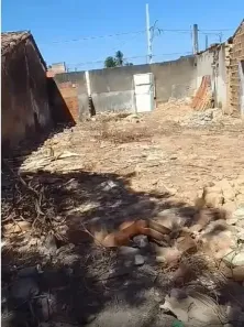 Lote/Terreno à venda, 135m² no Alto da Boa Vista, Lagarto