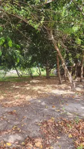 Lote/Terreno à venda, 2178m² no Luzardo Viana, Maracanaú