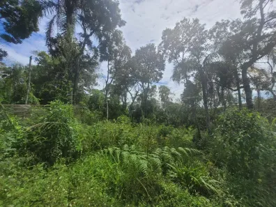 Lote/Terreno à venda, 402m² no Flamingo, Embu-Guaçu