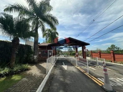 Apartamento com 3 Quartos para alugar, 65m² no Jardim Juliana, Indaiatuba