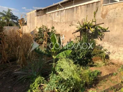 Lote/Terreno à venda, 250m² no Jardim São Carlos, Campinas