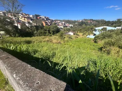 Lote/Terreno à venda, 250m² no Santa Luzia, Ribeirão Pires