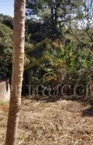 Lote/Terreno à venda, 319m² no Sousas, Campinas