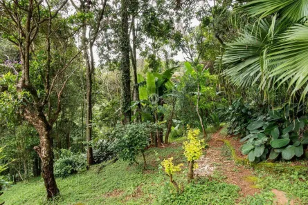 Lote/Terreno à venda, 1584m² no Bosque da Ribeira, Nova Lima