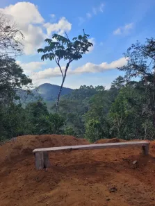 Lote/Terreno à venda, 20000m² no , Santa Teresa