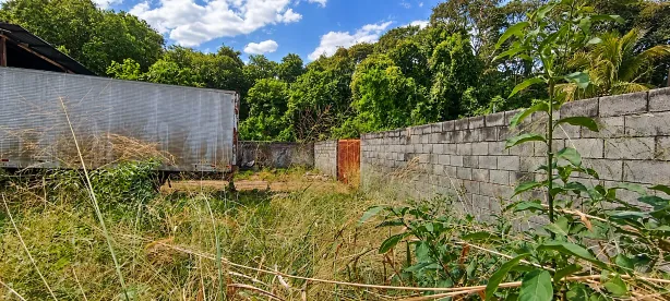 Lote/Terreno à venda, 360m² no Parque Flamboyant, Goiânia