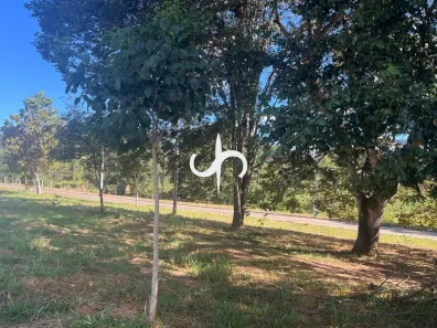 Lote/Terreno à venda, 450m² no Jardim Esmeralda, Pirenópolis