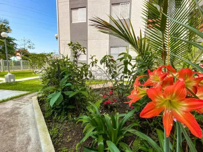 Apartamento com 2 Quartos à venda, 51m² no Sapé, Ubatuba