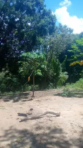 Fazenda/Sítio à venda, 13120m² no Comunidade Urbana de Jaboticaba, Guarapari