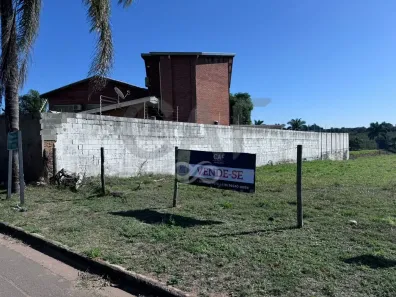 Lote/Terreno à venda, 10m² no , Holambra
