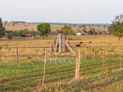 Fazenda/Sítio com 1 Quarto à venda, 641m² no Área Rural de Campo Grande, Campo Grande