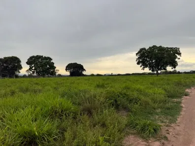 Fazenda/Sítio à venda, 174m² no , Santo Antônio de Leverger