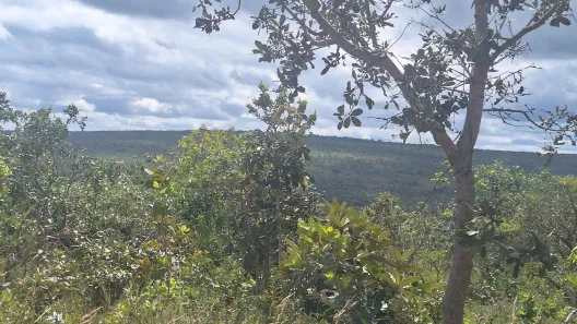 Lote/Terreno à venda, 30000m² no , Três Marias