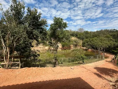 Fazenda/Sítio com 3 Quartos à venda, 60000m² no Tereza Cristina, São Joaquim de Bicas
