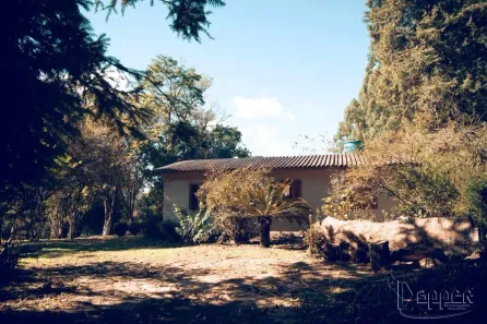 Fazenda/Sítio com 5 Quartos à venda, 200m² no , Taquari