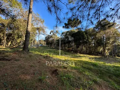 Lote/Terreno à venda, 7011m² no Cascatas, Campo Alegre