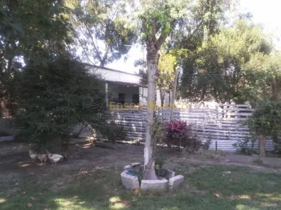 Fazenda/Sítio com 3 Quartos à venda, 162m² no , Roseira
